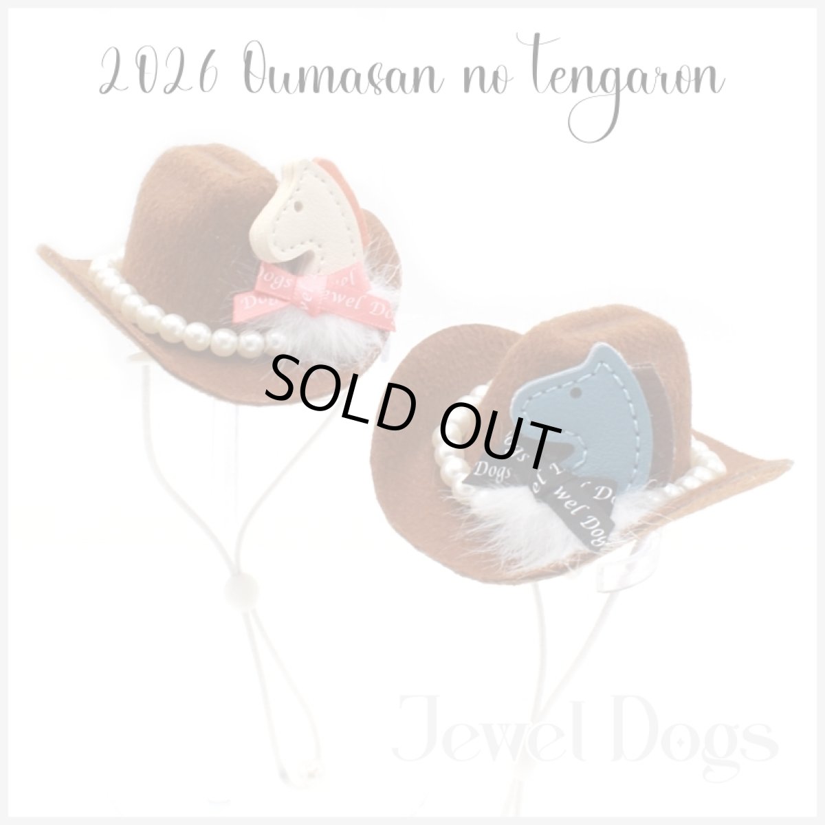 画像1: 2026お馬さんのテンガロンハット (1)