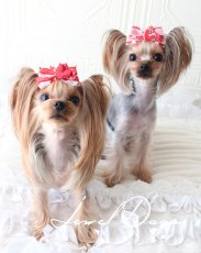 画像4: ラブ　ショック (4)