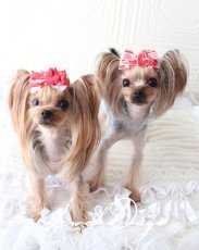 画像2: ラブ　ショック (2)