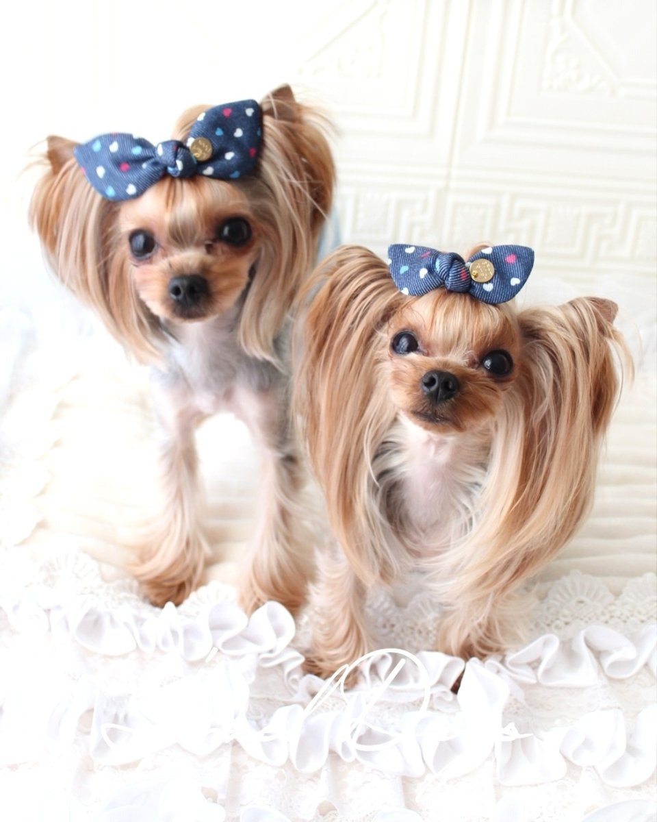 画像2: デニムカラフルハートバニー (2)