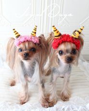 画像6: 2026鬼さんカチューシャ (6)