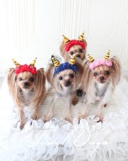 画像7: 2026鬼さんカチューシャ (7)