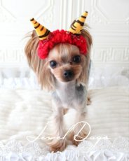 画像4: 2026鬼さんカチューシャ (4)