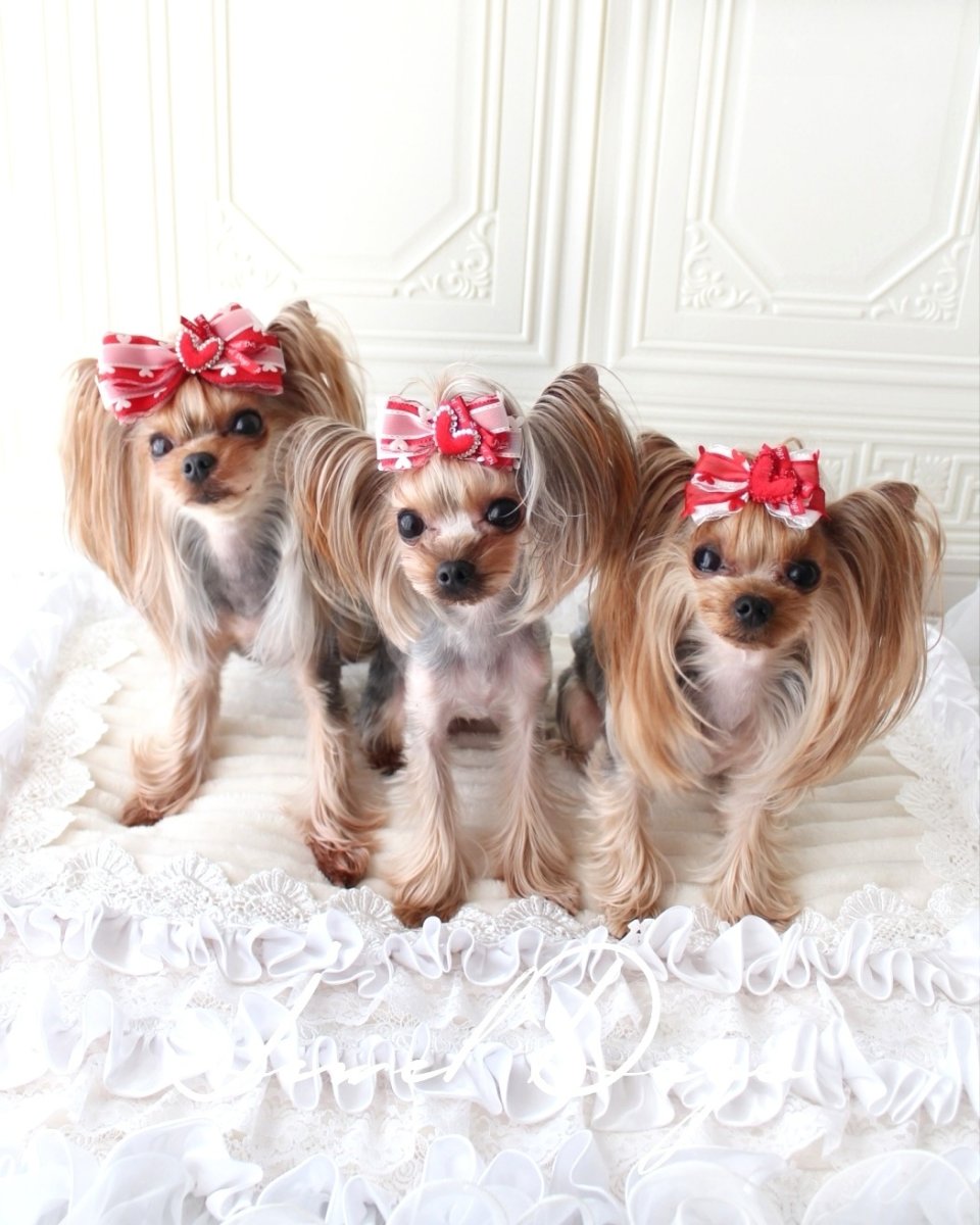 画像3: ラブ　ショック (3)