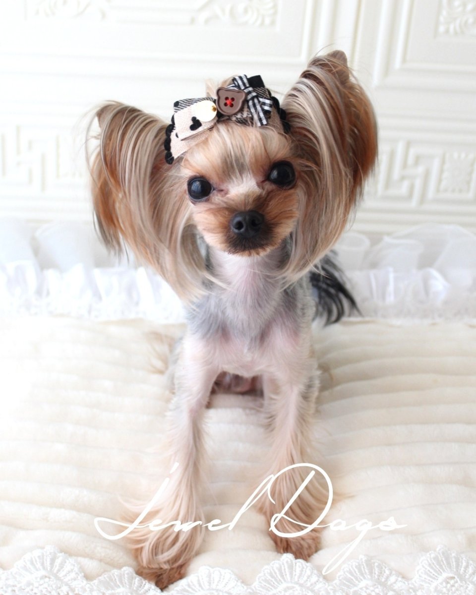 画像3: チョコレートベアハート (3)