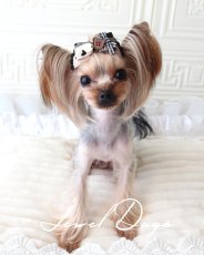 画像3: チョコレートベアハート (3)