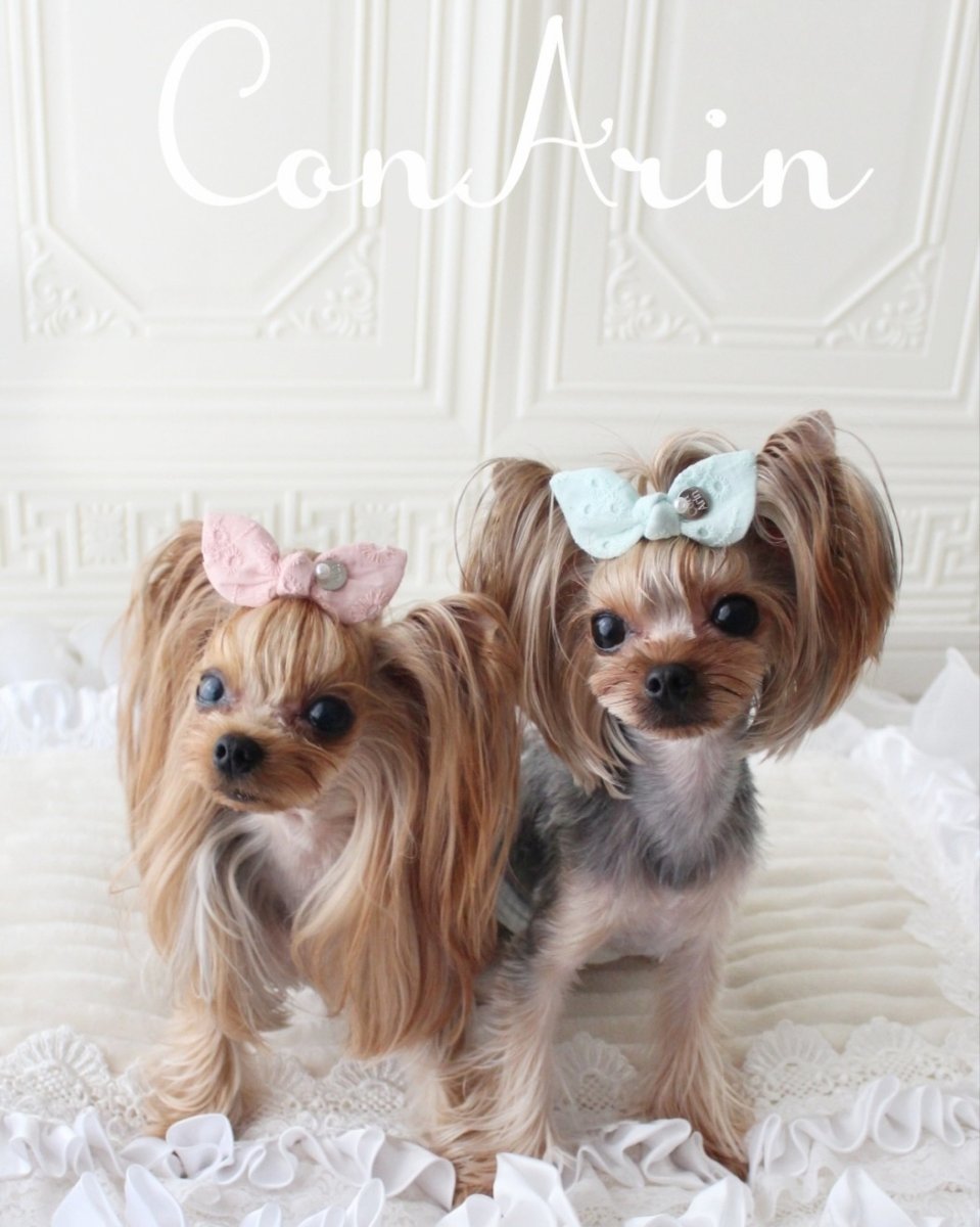 画像2: パステルレースタイングバニー (2)