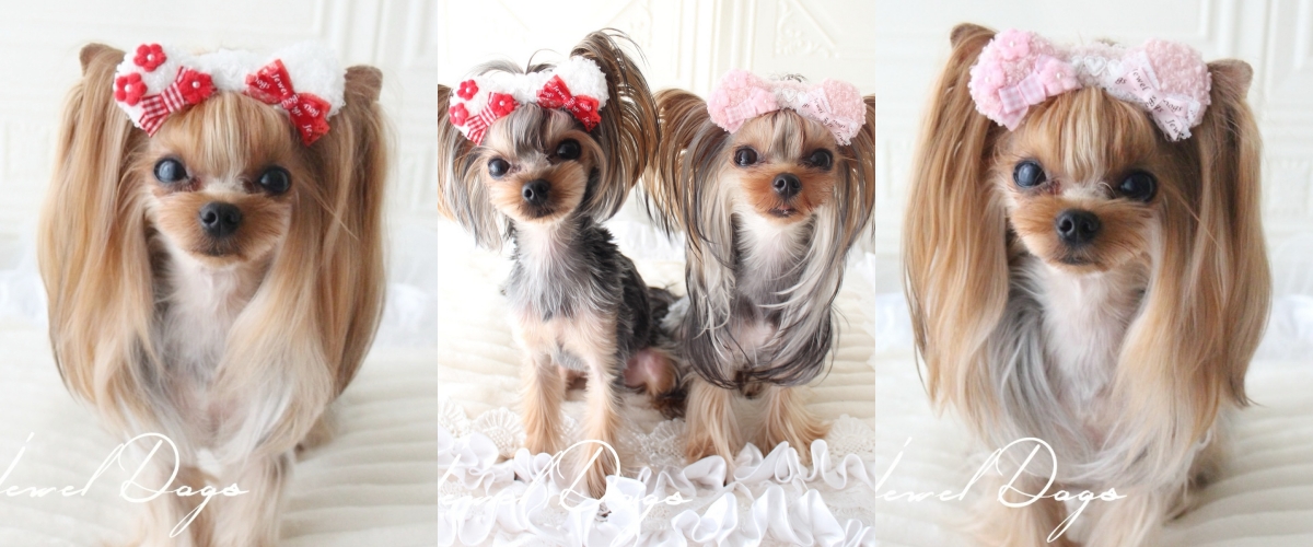 犬服　ダイヤモンド　着物　ご確認 犬服 ダイヤモンド様専用 着物 ご確認 Jewel Dogs