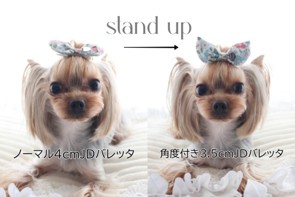 JDバレッタの詳細 - Jewel Dogs